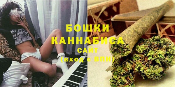 шишки Медвежьегорск
