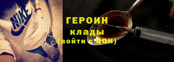 шишки Медвежьегорск