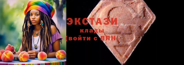шишки Медвежьегорск