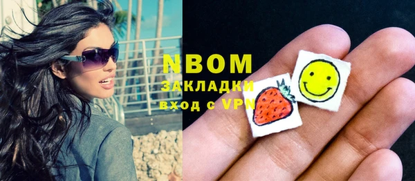 шишки Медвежьегорск