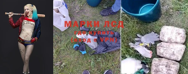шишки Медвежьегорск