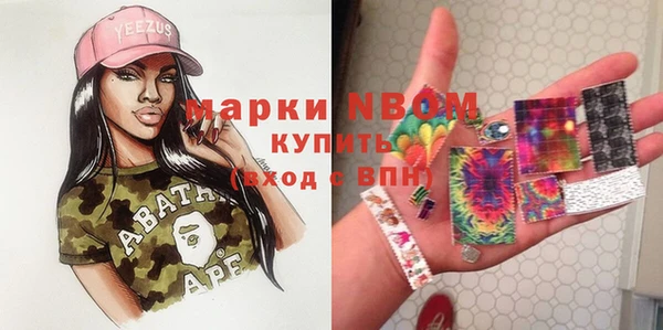 шишки Медвежьегорск