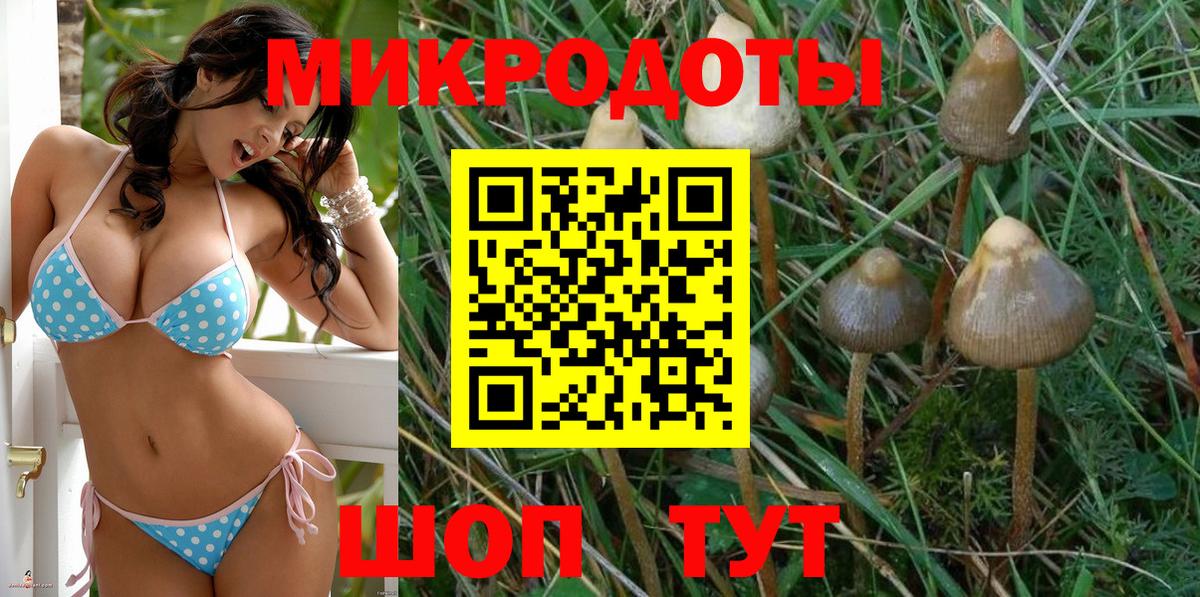 Псилоцибиновые грибы GOLDEN TEACHER  Вход с VPN  Волгодонск 