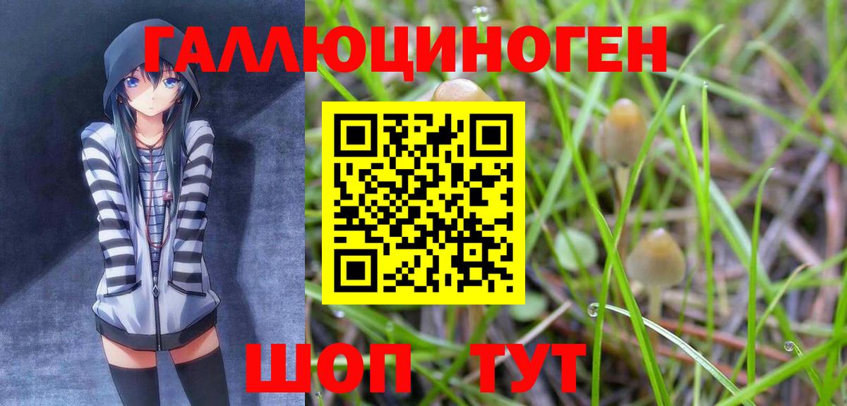 Псилоцибиновые грибы Cubensis Волгодонск